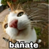 @Harley_Stickers báñate