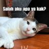 Bobby Kucing Prabowo 🐱 26