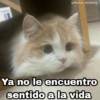 @Harley_Stickers Ya no le encuentro sentido a la vida