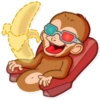 Monkey 25