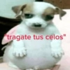 Stickers pal grupo mi so😎 7