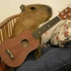 🤎 CAPYBARA MOODS 🤎 9