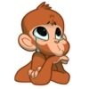 Monkey 17