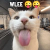 WLEE