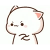 Kitten 26