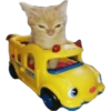 Funny cat memes 5
