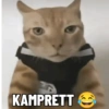 Meme absurd 6