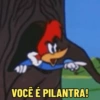 Memes do Pica-Pau  19