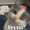 Besitos