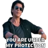 YOU ARE UNDER
MY PROTECTION