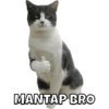 Anomali Binatang 11