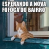 ESPERANDO A NOVA FOFOCA DO BAIRRO
