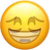 Emoji iphone fake ekspresi 8