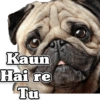 Funny PUG 9