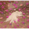 Romantic cats ❤️🐈 9