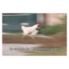 Meme #7 18