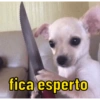 fica esperto