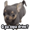 Q pa sopa drino?