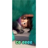 ce eeee