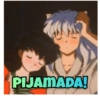 Inuyasha 15