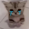 Cats (1/4) 11