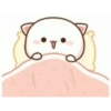 Kitten 14