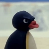 Pingüino penguin 😎 6