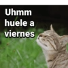 Lunes a viernes  13