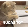 NUGAS TOT