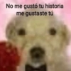 No me gustó tu historia
me gustaste tú