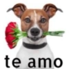 te amo