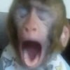 🤪 Reactions 17 😲 5