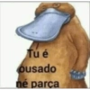 Dedo no cu e gritaria  11