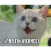 Lunes a viernes  15