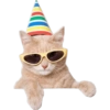 Feliz Aniversário  15
