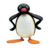 Pingüino penguin 😎 7