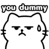 you dummy