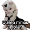 Amor Memes 2❤️🔥💖 6