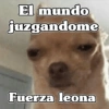 🧿Fuerza Leona💪🏻🦁 26