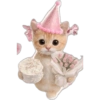 Feliz Aniversário  16