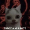 ESTOY A MI LIMITE