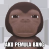 AKU PEMULA BANG