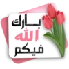 بارك الله فيكم