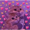 Gatitos de amor 😺💘💞 9