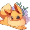 Gatos/Pokémon  28