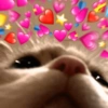 💞💖 AMOR 4 💖💞 10