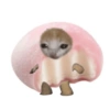 Dumpling kiyowo 5