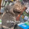 do nas costa