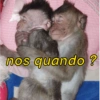 nos quando?