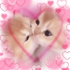 Gatitos Enamorados